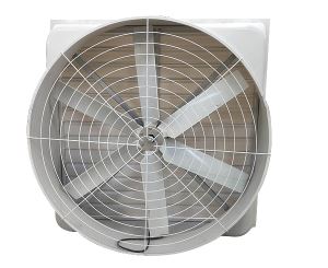 玻璃鋼91视频播放网址