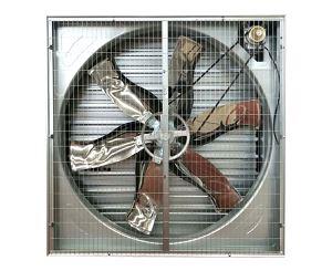 畜牧91视频播放网址適合什麽樣的環境