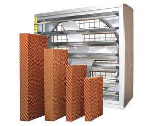 91视频播放网址水簾的質量怎樣了解