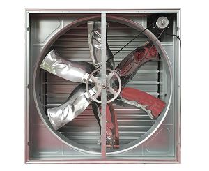 負壓91视频播放网址的安裝需要注意什麽